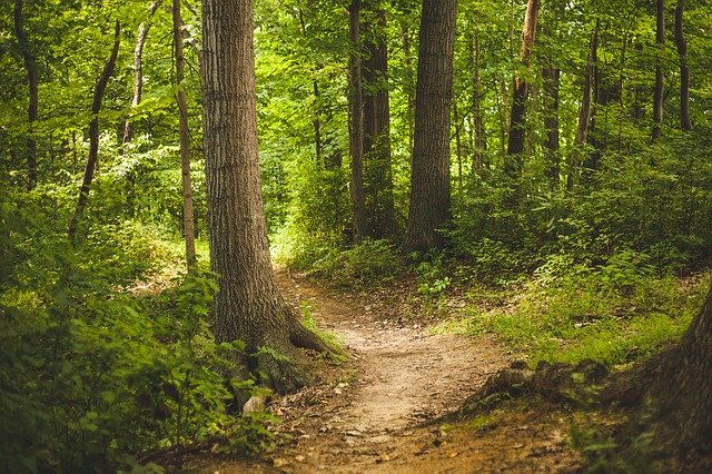 Aggiornamento Covid-19 nel territorio di Tramatza