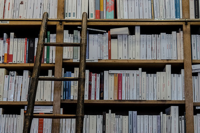 Biblioteca Comunale