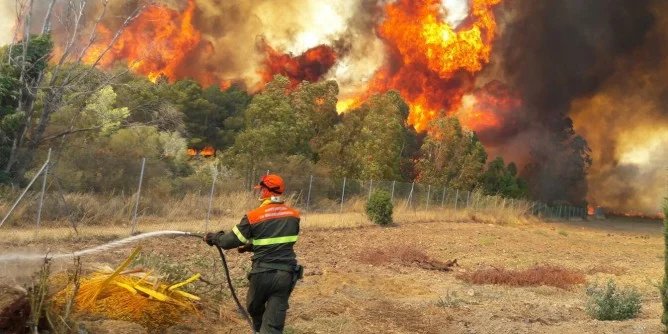 Prescrizioni Antincendio Manutenzione e Pulizia terreni anno 2026